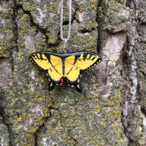 Eastern Tiger Swallowtail