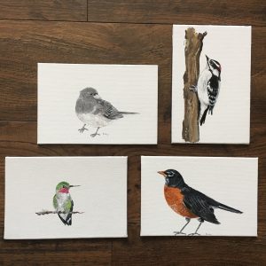 Backyard Birds Collection