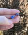 Bluebirds
