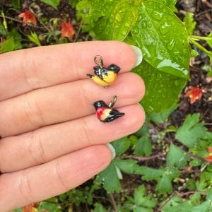 Baltimore Oriole and Red Winged Blackbird