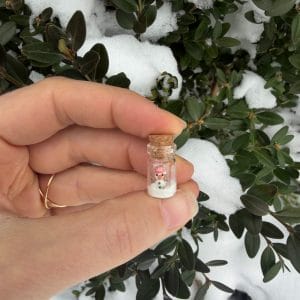 Snowman in a bottle