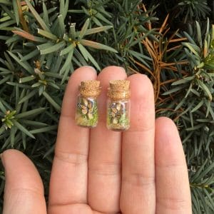 Monarch Butterfly Bottle