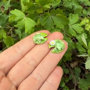 Frog on Lilly Pad
