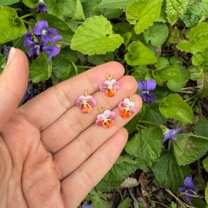 Pansy