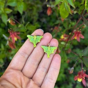 Luna Moth