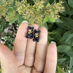 Black Bear
