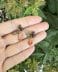 Oak Leaf and Acorns